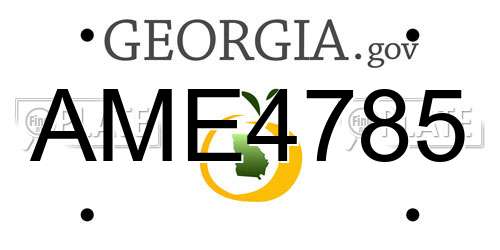 AME4785 Georgia License Plate