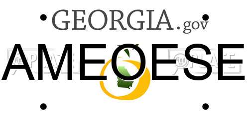 AMEOESE Georgia License Plate