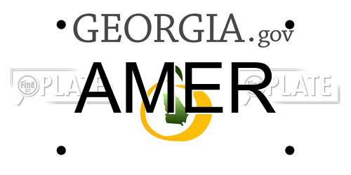 AMER Georgia License Plate