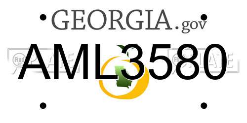 AML3580 Georgia License Plate