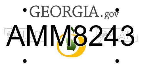 AMM8243 Georgia License Plate