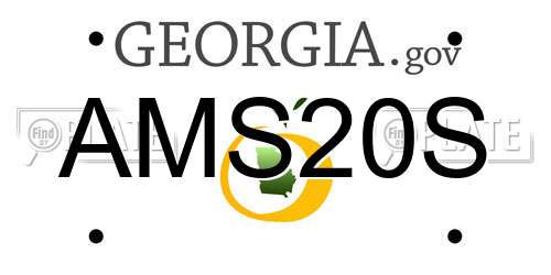 AMS20S Georgia License Plate