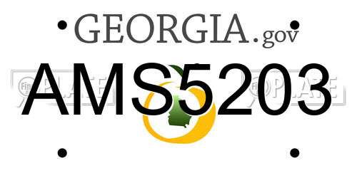 AMS5203 Georgia License Plate