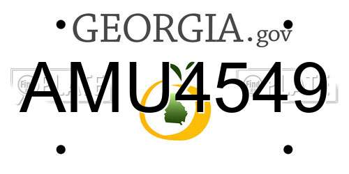 AMU4549 Georgia License Plate