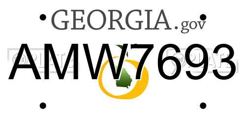 AMW7693 Georgia License Plate