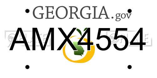 AMX4554 Georgia License Plate