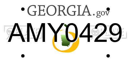 AMY0429 Georgia License Plate