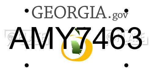 AMY7463 Georgia License Plate