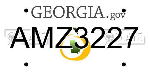 AMZ3227 Georgia License Plate