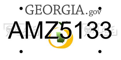 AMZ5133 Georgia License Plate