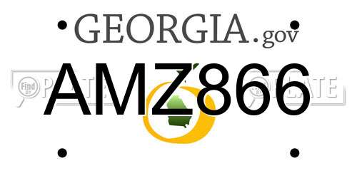 AMZ866 Georgia License Plate