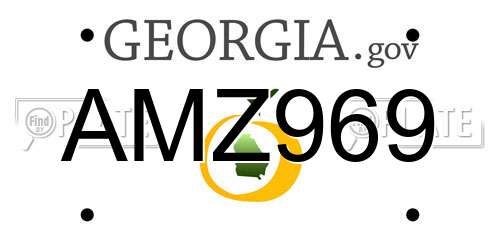 AMZ969 Georgia License Plate