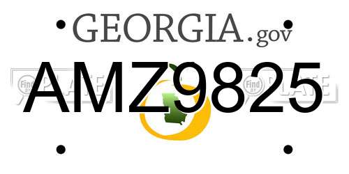 AMZ9825 Georgia License Plate