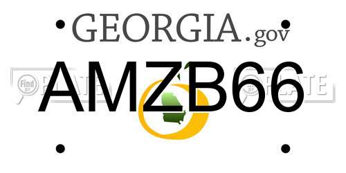 AMZB66 Georgia License Plate