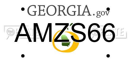 AMZS66 Georgia License Plate