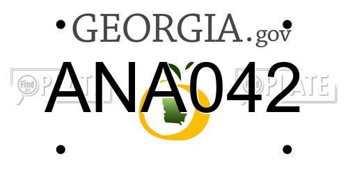 ANA042 Georgia License Plate