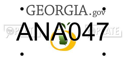 ANA047 Georgia License Plate