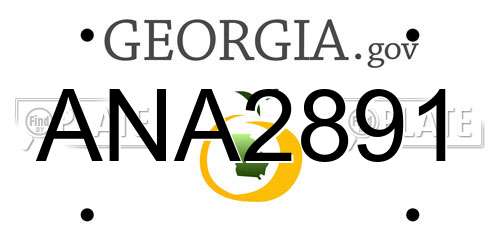 ANA2891 Georgia License Plate