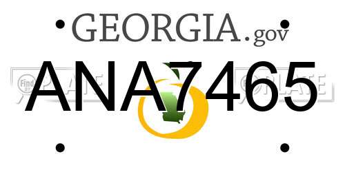 ANA7465 Georgia License Plate