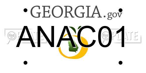 ANAC01 Georgia License Plate