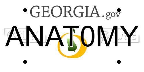 ANAT0MY Georgia License Plate