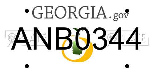 ANB0344 Georgia License Plate
