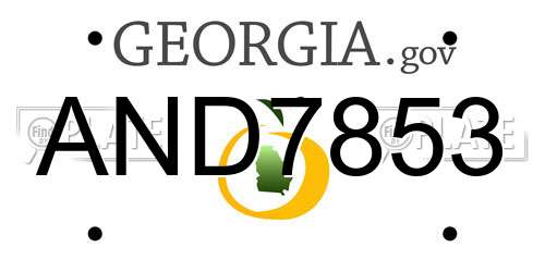 AND7853 Georgia License Plate