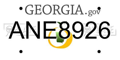 ANE8926 Georgia License Plate