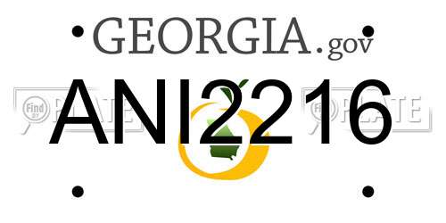 ANI2216 Georgia License Plate