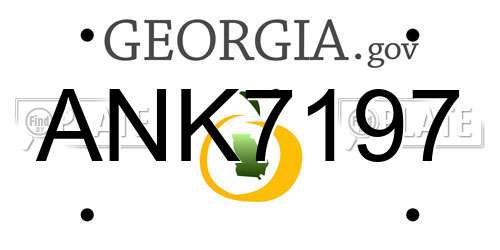 ANK7197 Georgia License Plate