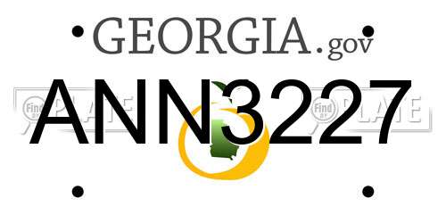 ANN3227 Georgia License Plate