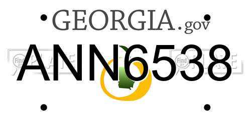 ANN6538 Georgia License Plate