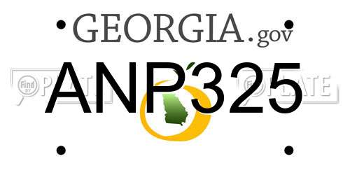 ANP325 Georgia License Plate