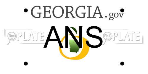 ANS Georgia License Plate