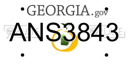 ANS3843 Georgia License Plate
