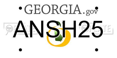 ANSH25 Georgia License Plate
