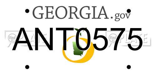 ANT0575 Georgia License Plate
