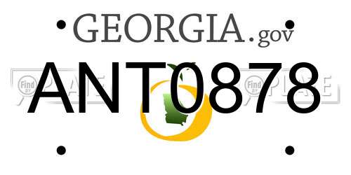 ANT0878 Georgia License Plate
