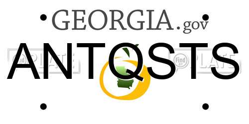 ANTQSTS Georgia License Plate