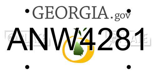 ANW4281 Georgia License Plate