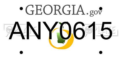 ANY0615 Georgia License Plate