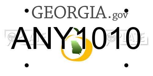 ANY1010 Georgia License Plate