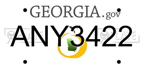ANY3422 Georgia License Plate