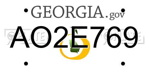 AO2E769 Georgia License Plate