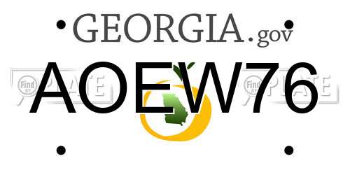 AOEW76 Georgia License Plate
