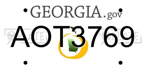 AOT3769 Georgia License Plate