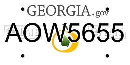 AOW5655 Georgia License Plate