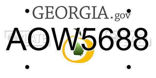 AOW5688 Georgia License Plate