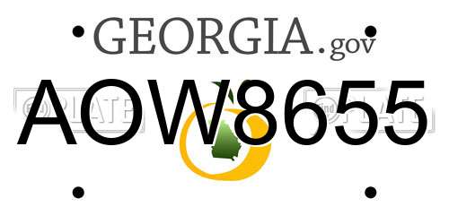 AOW8655 Georgia License Plate