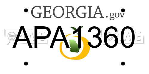 APA1360 Georgia License Plate